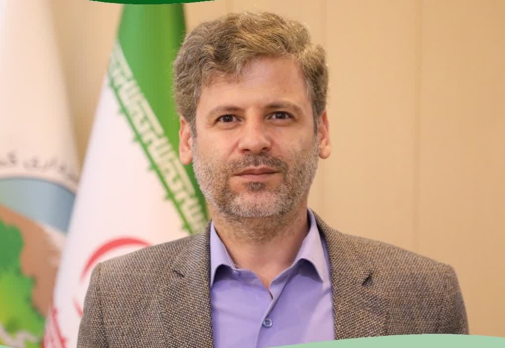 انتصاب
