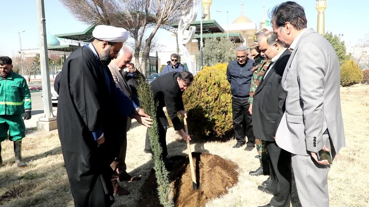 کاشت 10 میلیون نهال در هفته منابع طبیعی کاشت 10 میلیون نهال در هفته منابع طبیعی